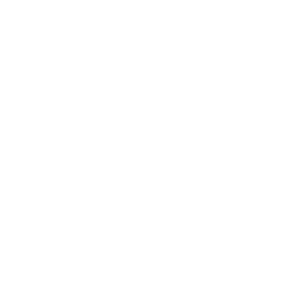 WordPress web