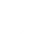 WordPress web WordPress web